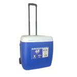 Freeze Peak Eco Cool 40 QT Soğutucu Buzluk 38 Litre - Görsel 5
