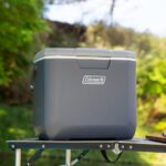 Coleman Daintree Personal Hard Cooler Soğutucu Buzluk 28 Lt - Görsel 8